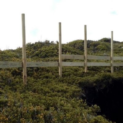 IMG-20170515-WA0007 (Medium)